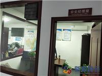 安全经理
